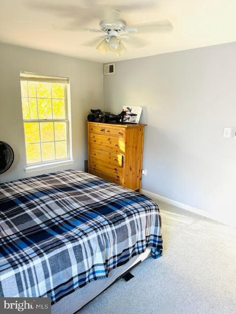 8604 Shadwell Drive #33 photo 34