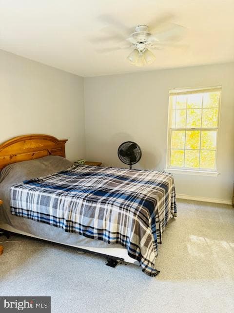 8604 Shadwell Drive #33 photo 35