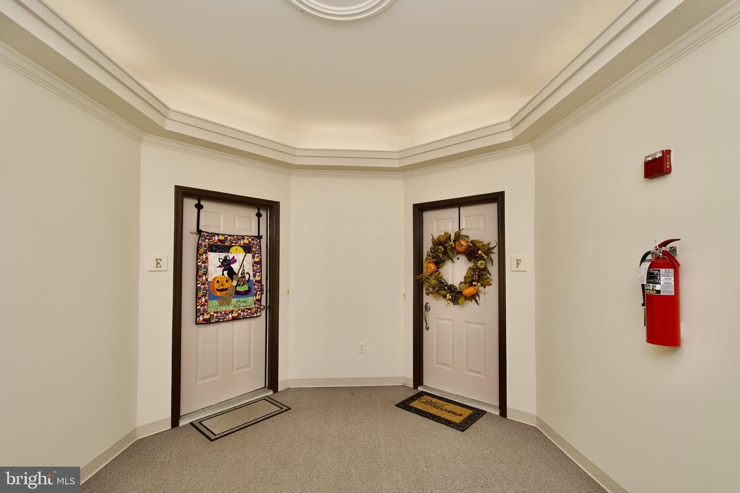 6612 Netties Lane #f photo 2