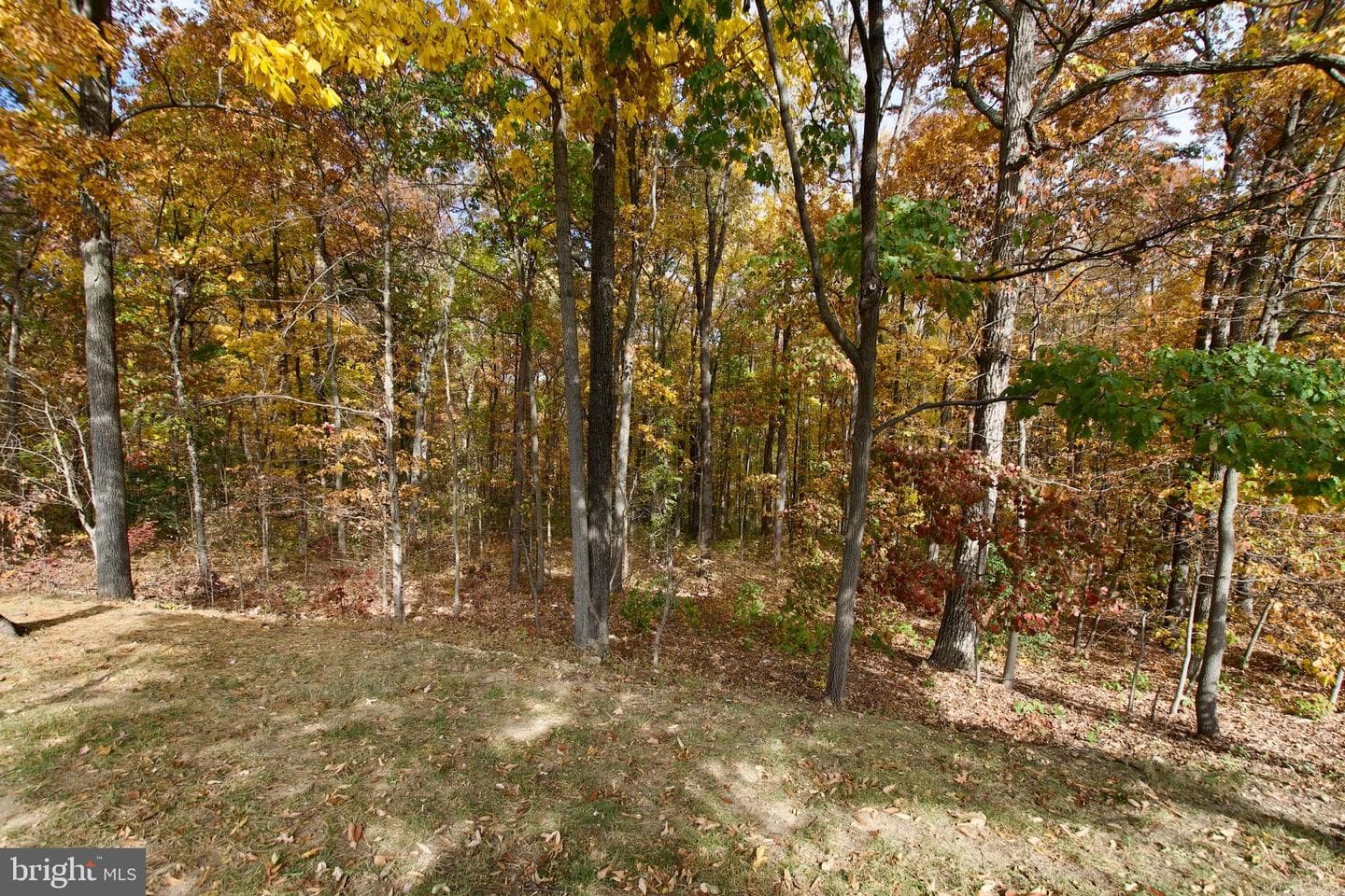 6612 Netties Lane #f photo 32