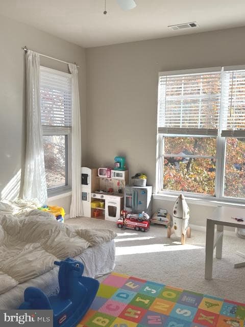 13357 Connor Drive #13357g photo 14