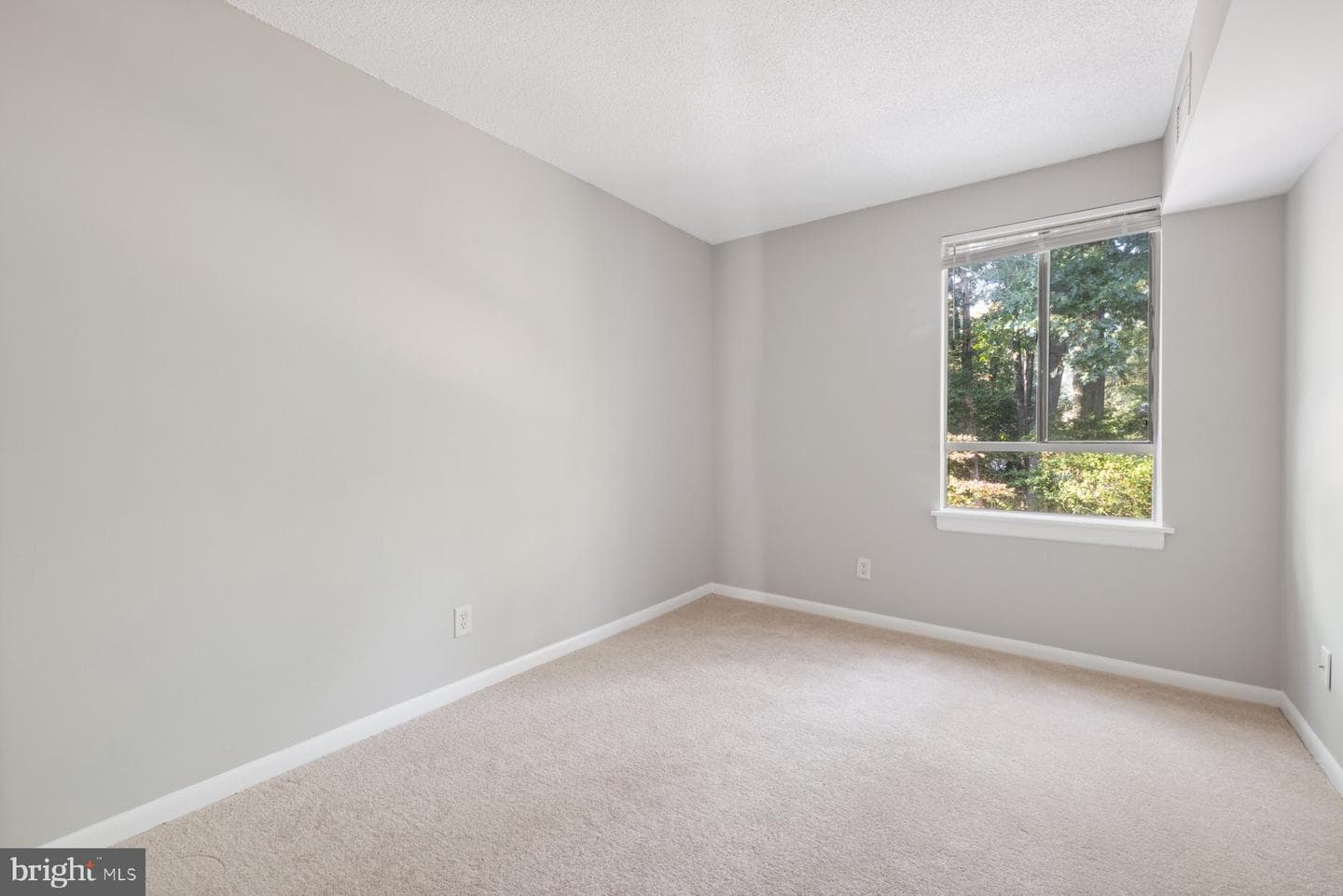 2233 Castle Rock Square #11c photo 15