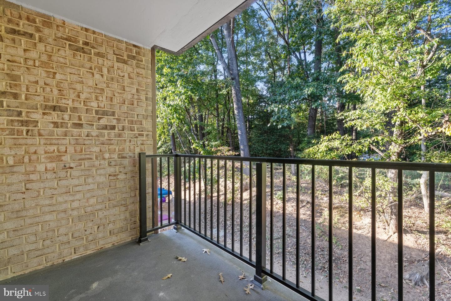 2233 Castle Rock Square #11c photo 23