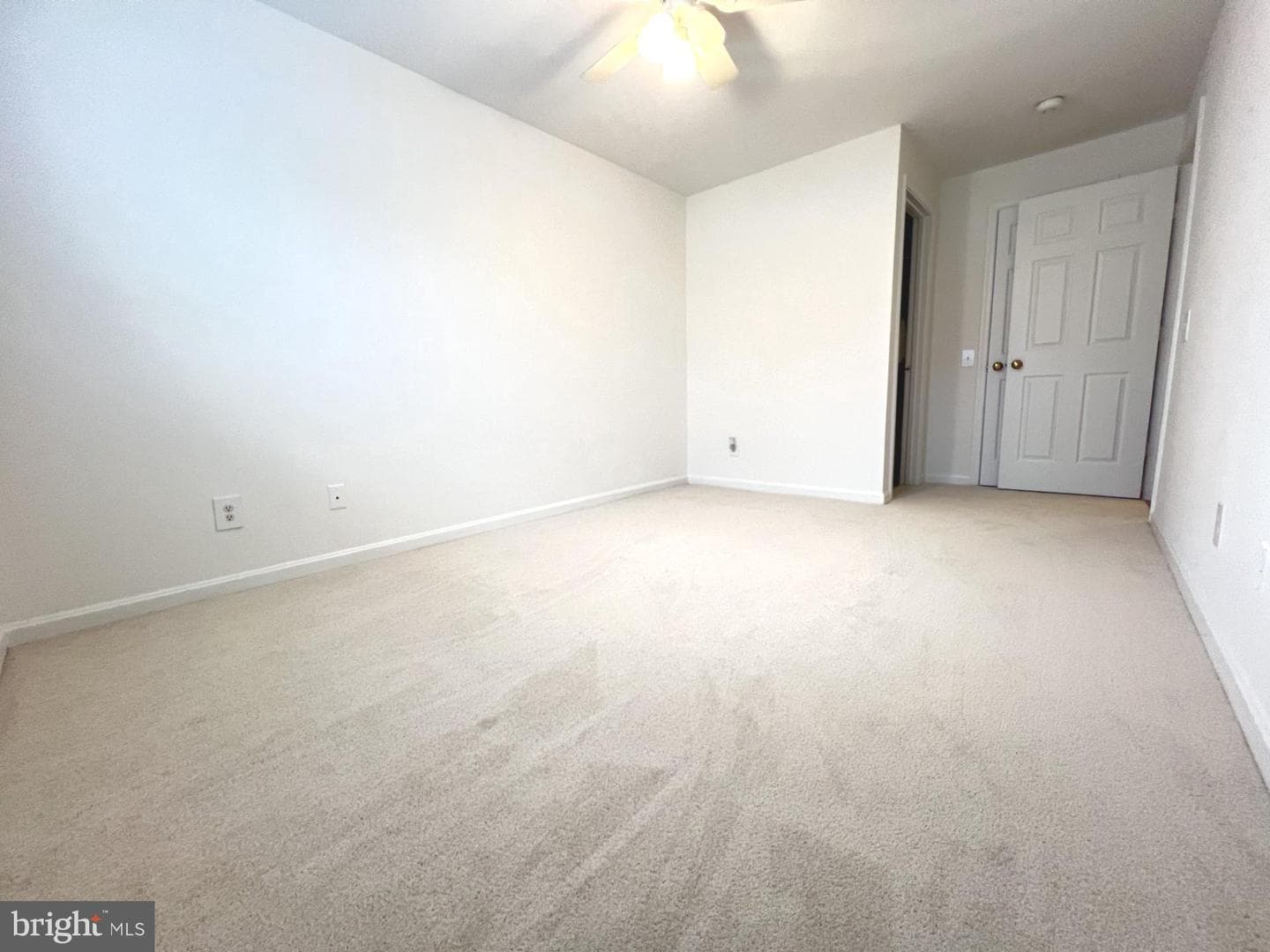 9242 Cardinal Forest Lane #101 photo 12