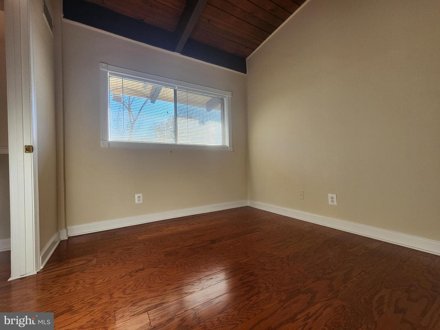 4905 Americana Drive #4905h photo 11