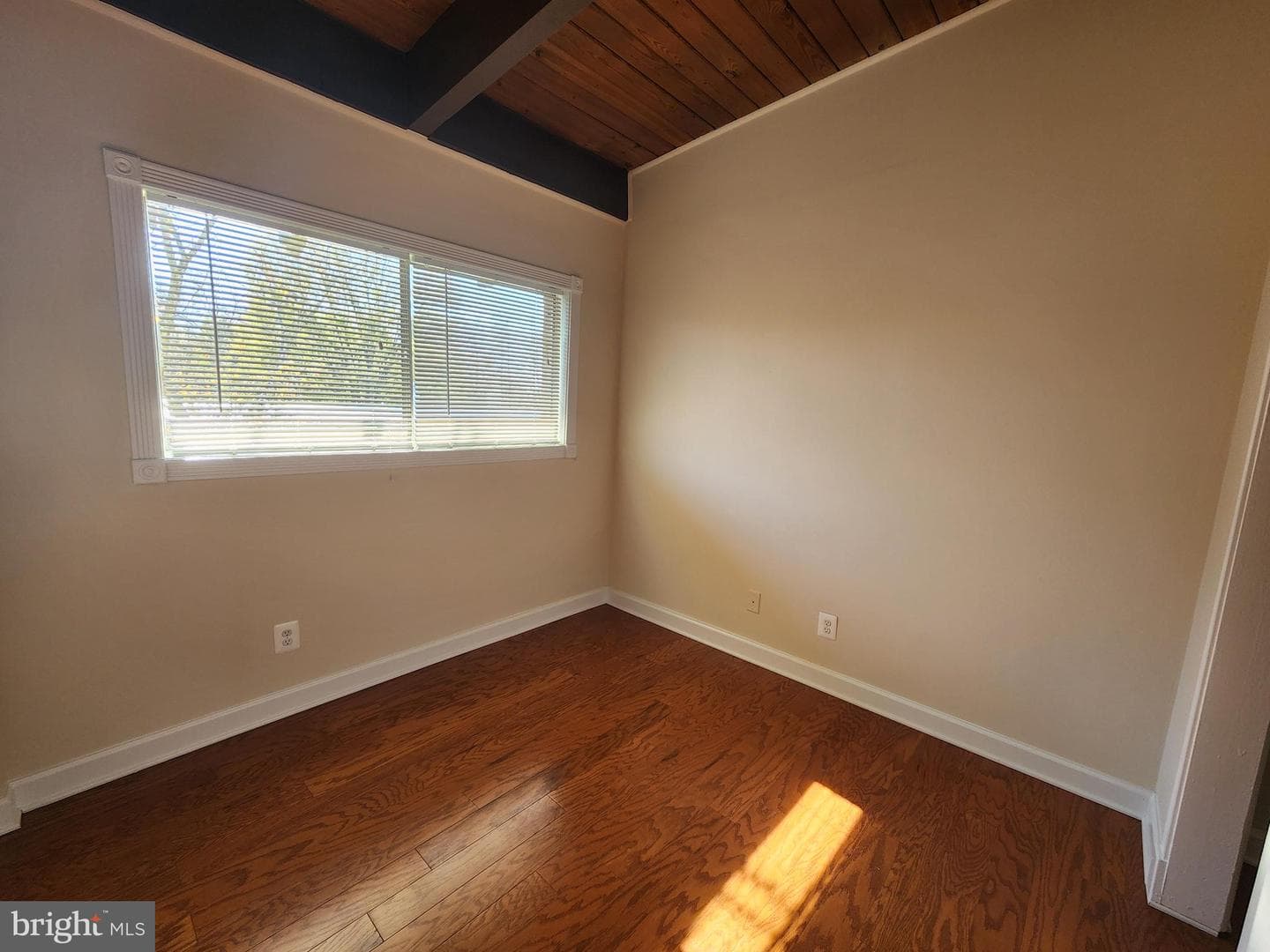 4905 Americana Drive #4905h photo 12