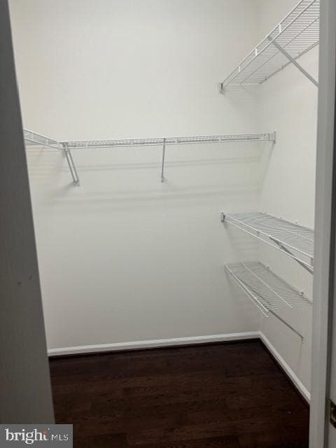 2906 Gretna Place photo 36