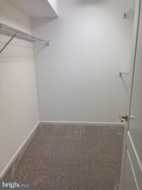 2906 Gretna Place photo 59