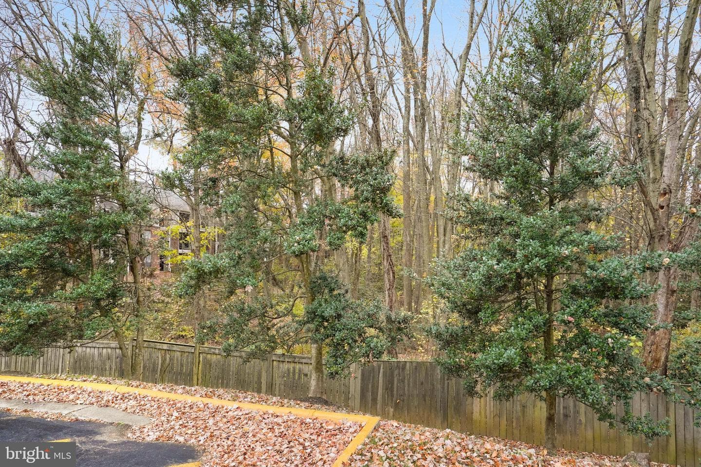4330 Cannon Ridge Court #d photo 29