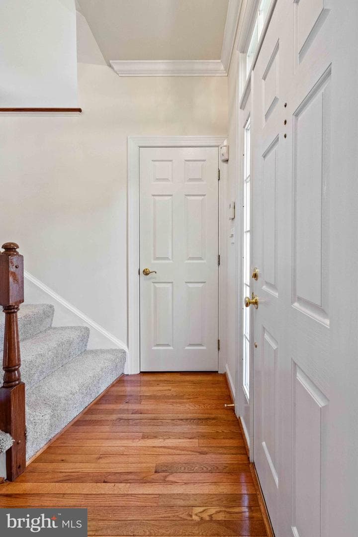 6217 Clara Edward Terrace photo 7