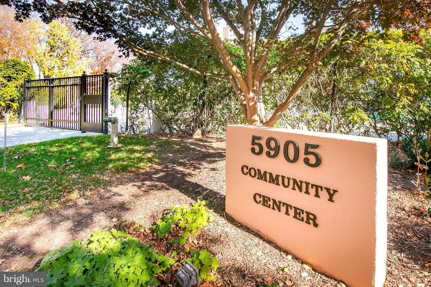 5901 Mount Eagle Drive #1101 photo 29