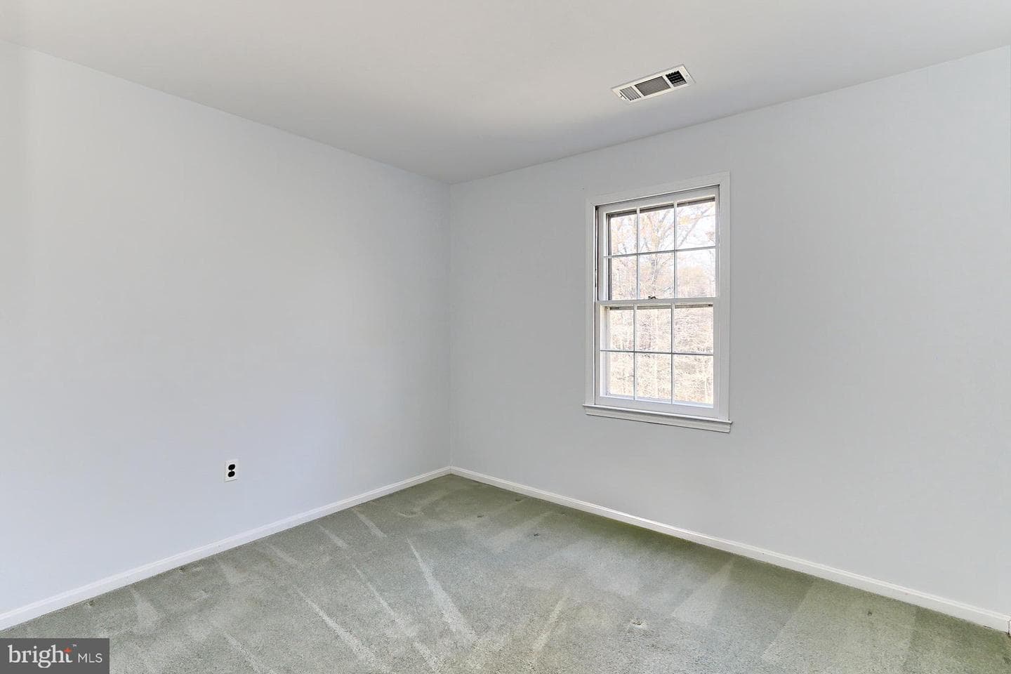 10819 James Halley Drive photo 32