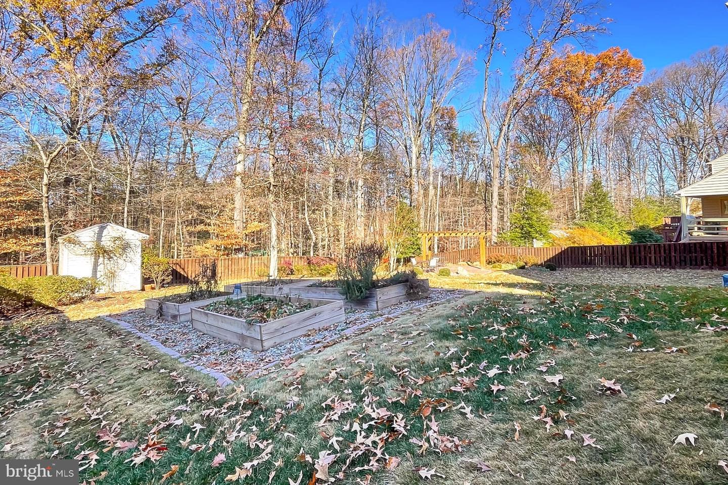 10819 James Halley Drive photo 42