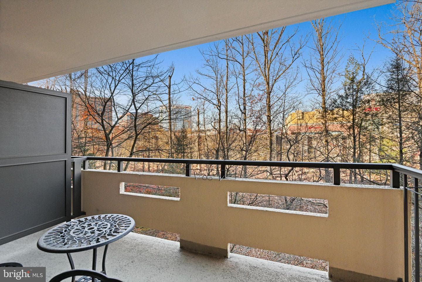1808 Old Meadow Road #716 photo 12