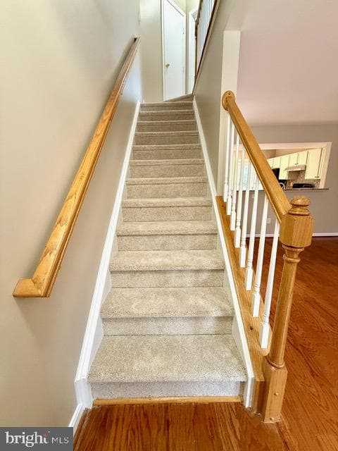 8074 Sebon Drive photo 10