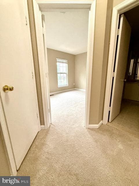 8074 Sebon Drive photo 13