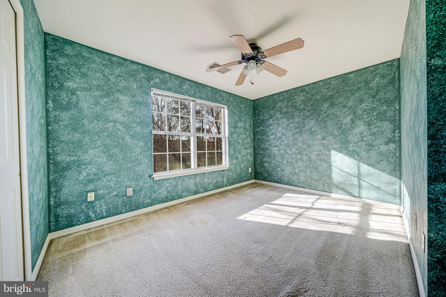 14163 Autumn Circle photo 19