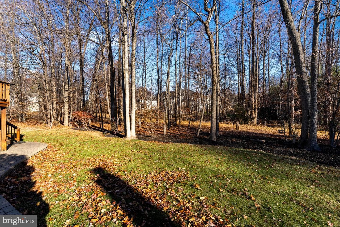 13006 Winter Willow Drive photo 42
