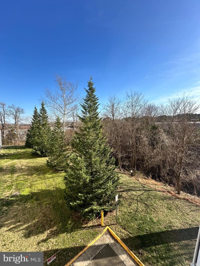 6301 Edsall Road #309 photo 20