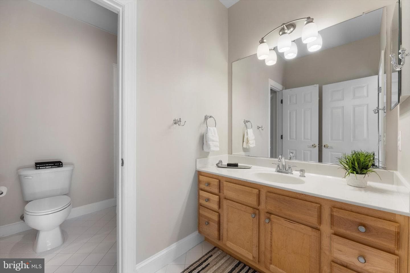 10649 Oakton Ridge Court photo 42