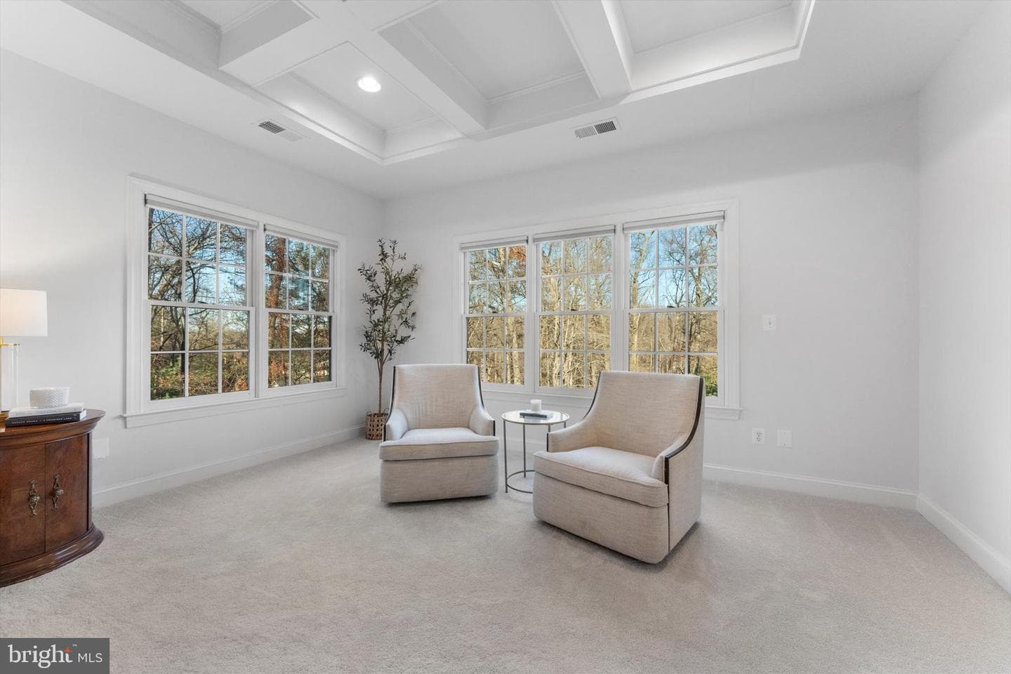 10649 Oakton Ridge Court photo 44