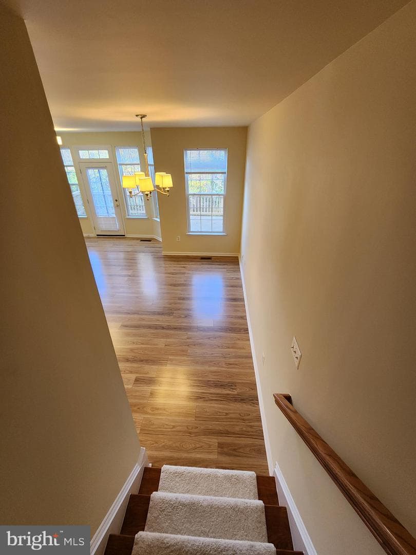 4522 English Holly Drive photo 14