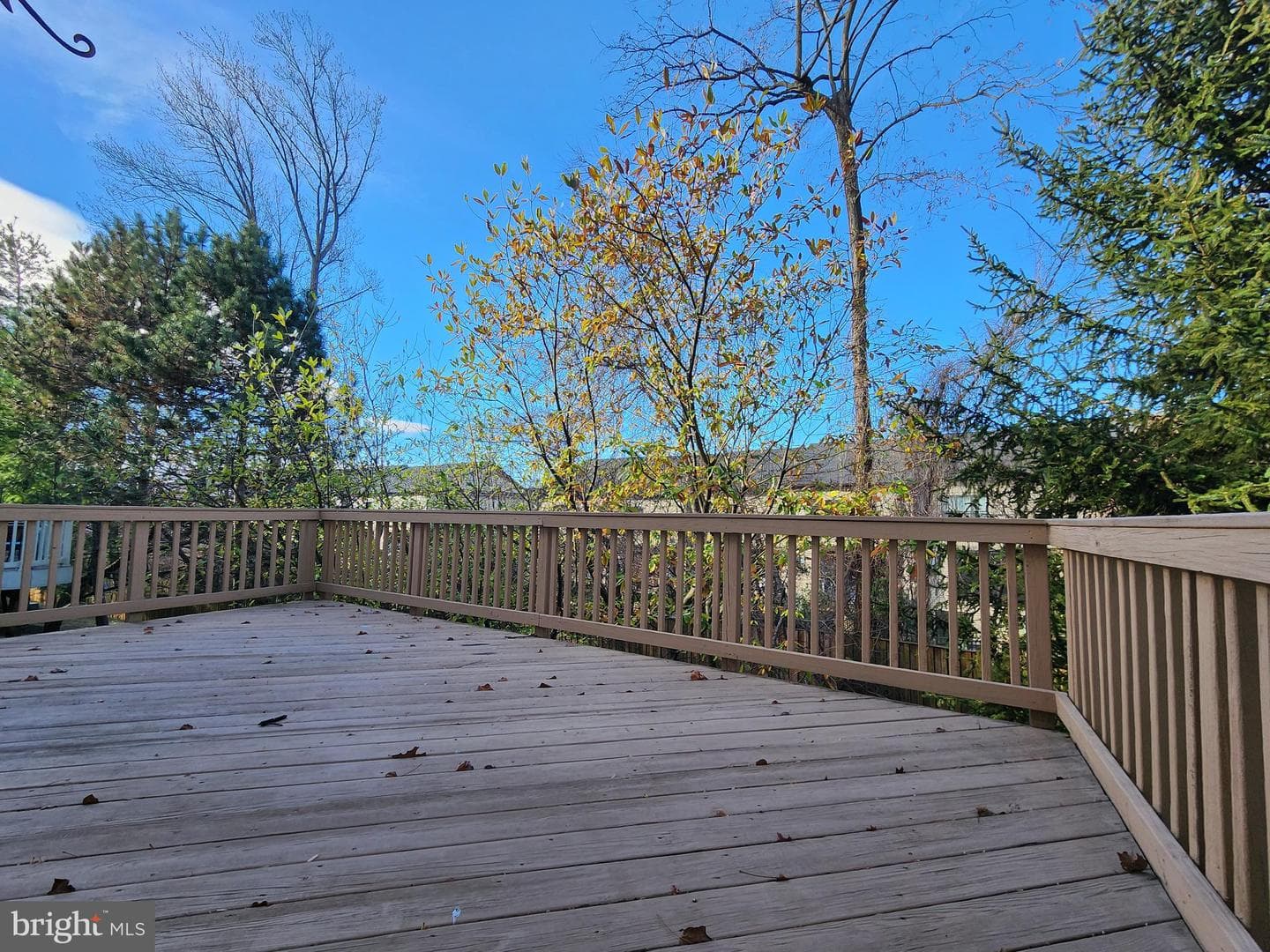4522 English Holly Drive photo 35