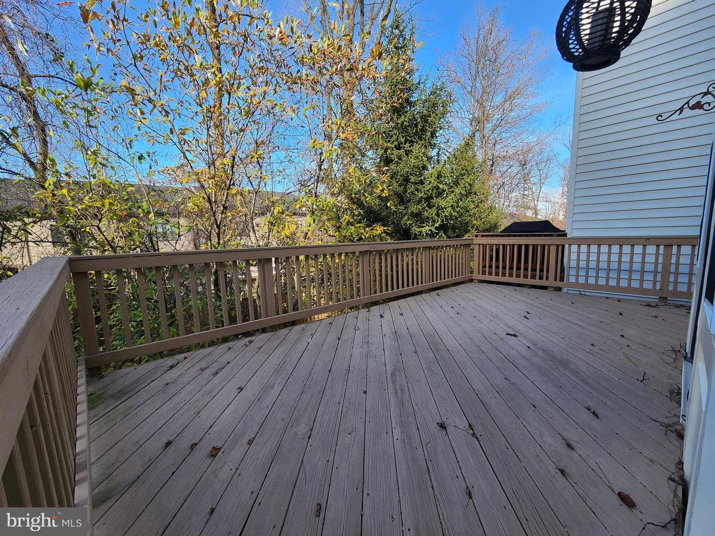 4522 English Holly Drive photo 36