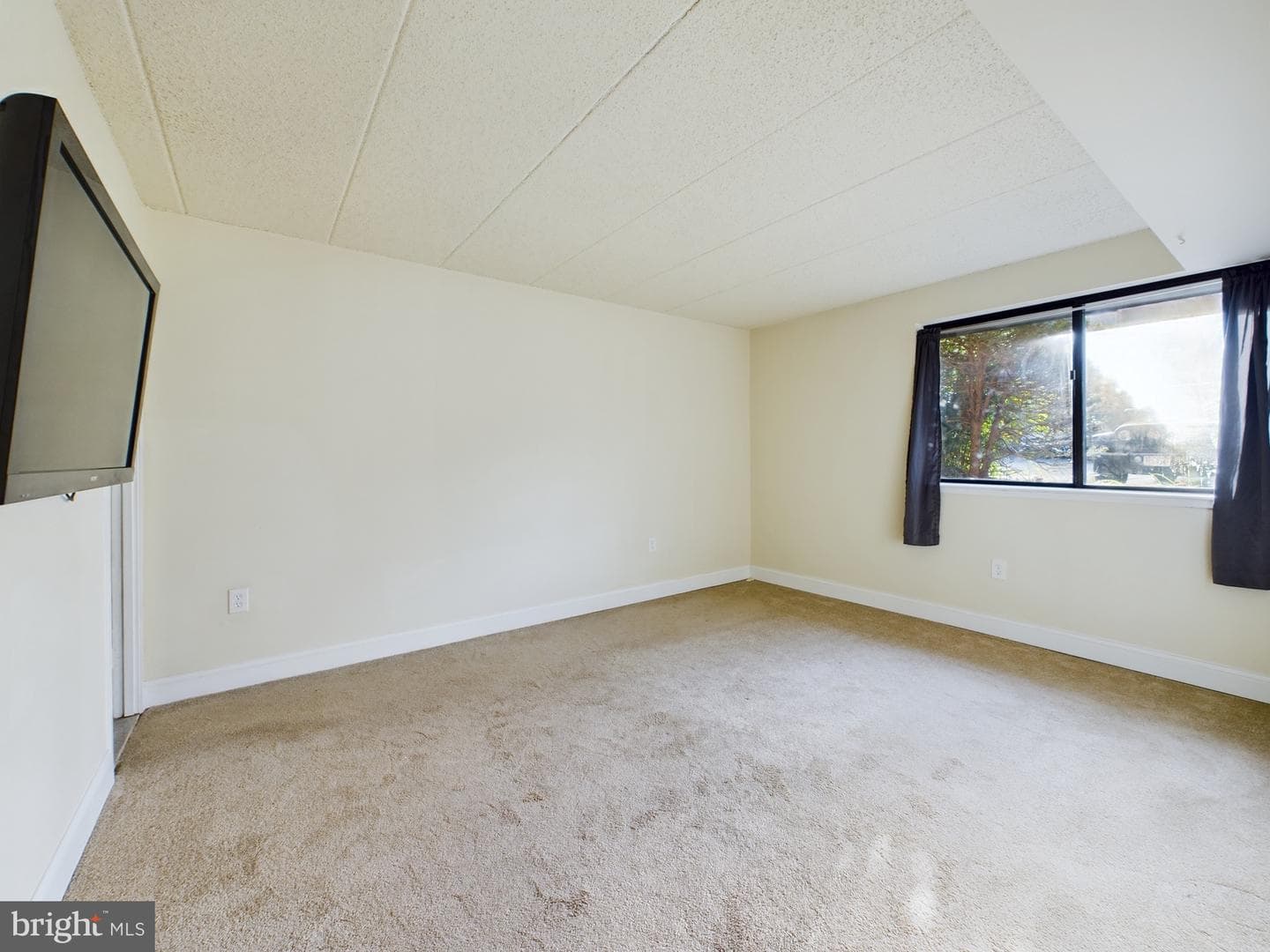 11566 Rolling Green Court #101 photo 31