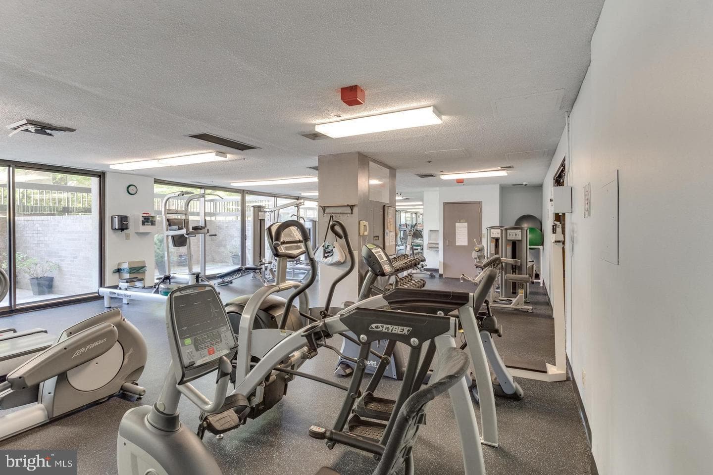 5501 Seminary Road #1809s photo 7