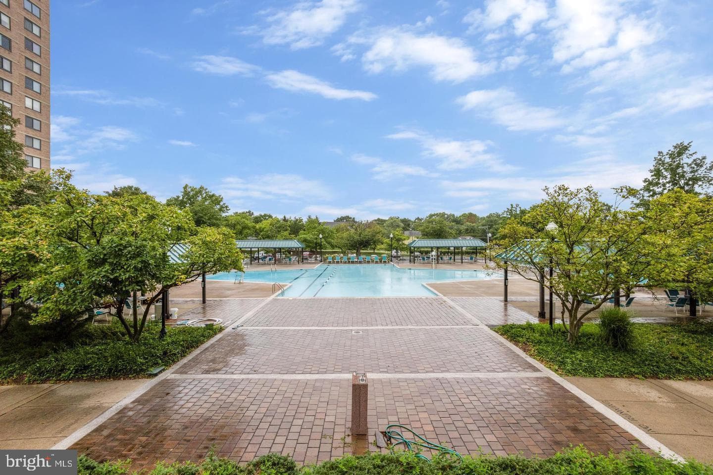 5501 Seminary Road #1809s photo 8