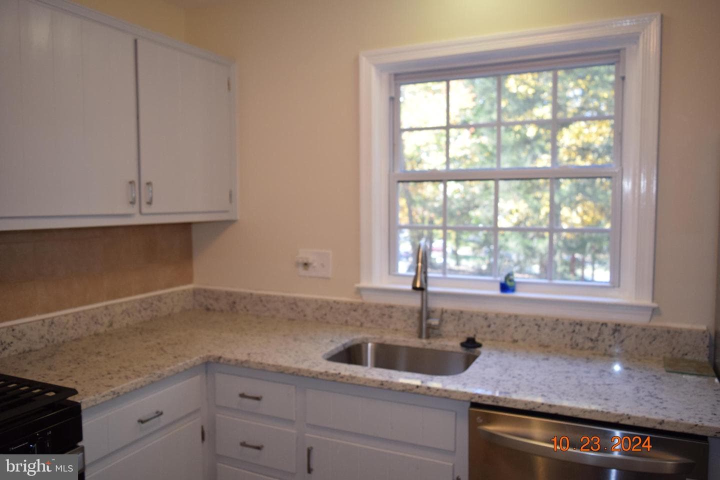 14857 Leicester Court photo 27