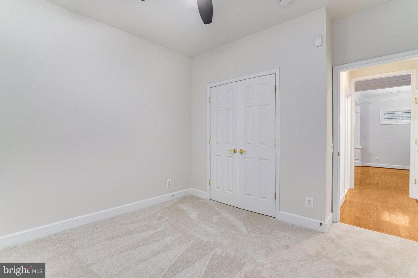 8888 Calla Lily Court photo 19