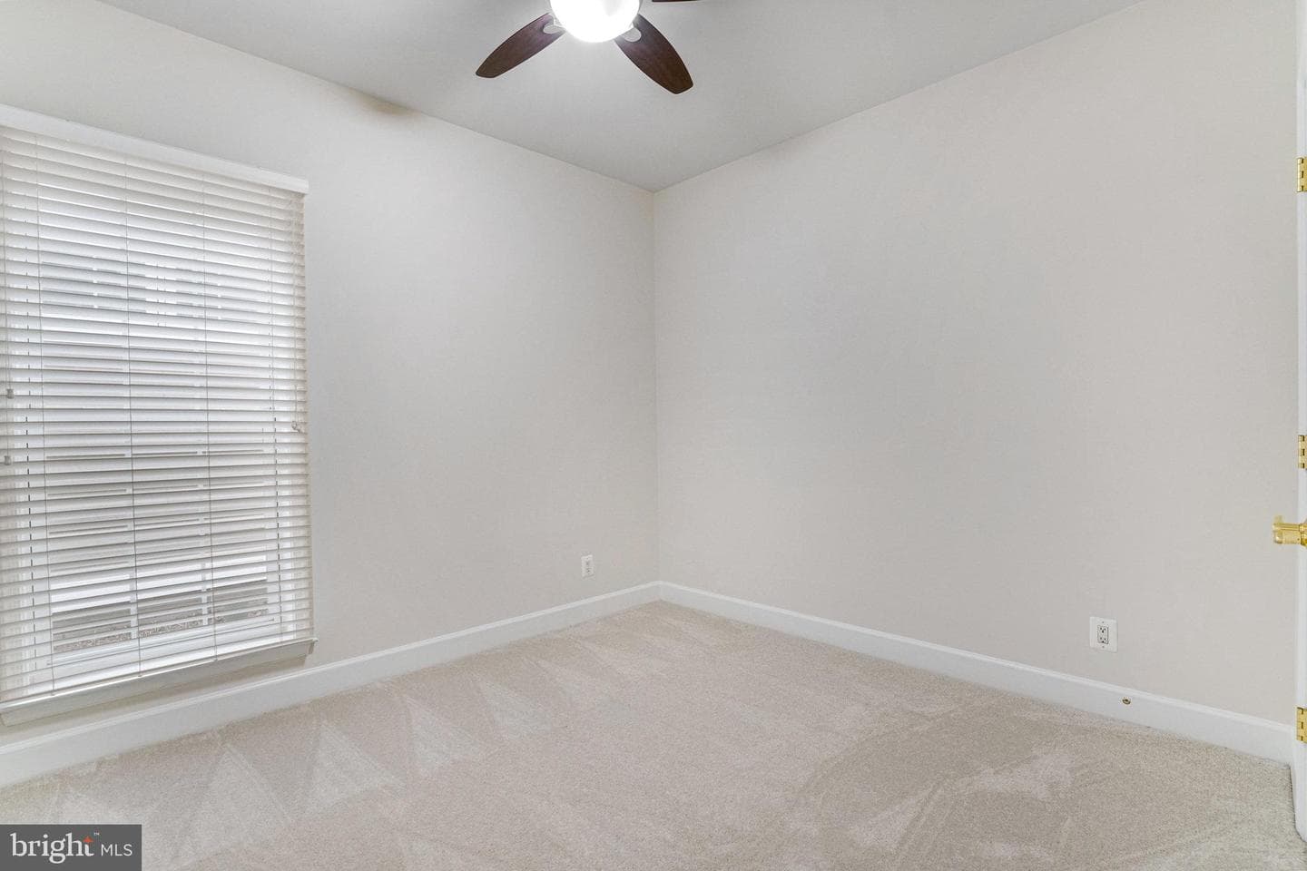 8888 Calla Lily Court photo 20