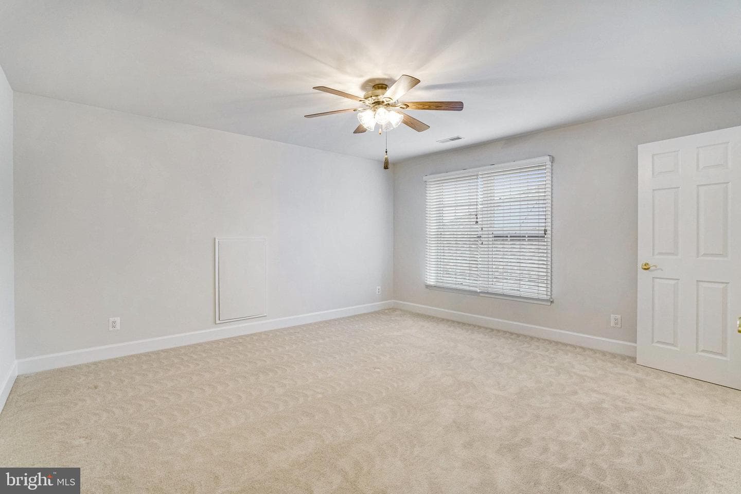 8888 Calla Lily Court photo 41