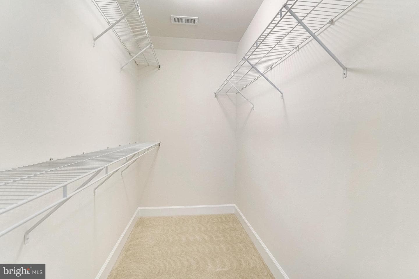 8888 Calla Lily Court photo 43