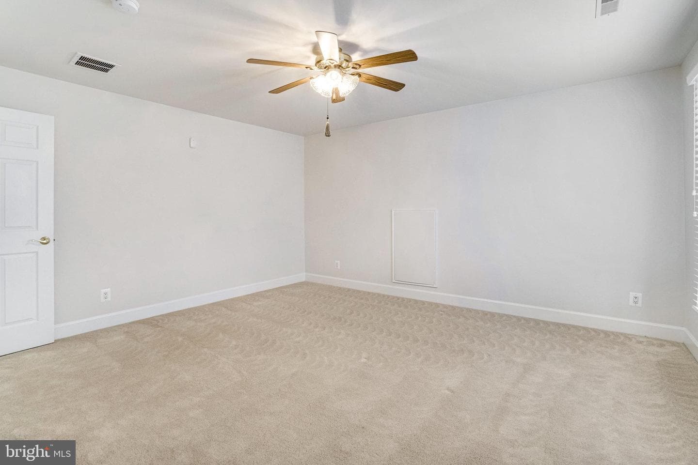 8888 Calla Lily Court photo 44