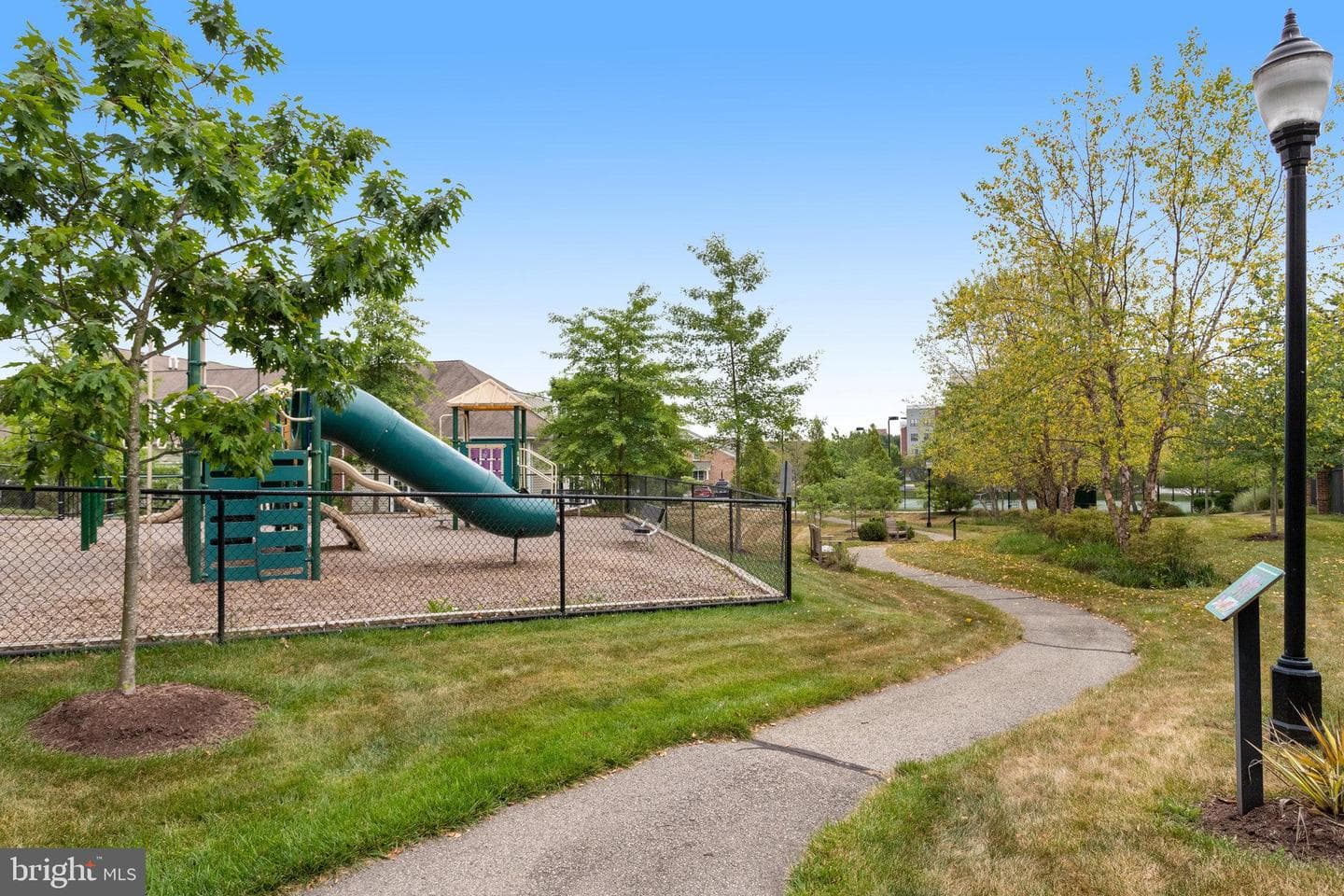 8888 Calla Lily Court photo 54