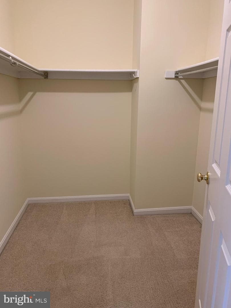 2136 Kings Garden Way photo 19
