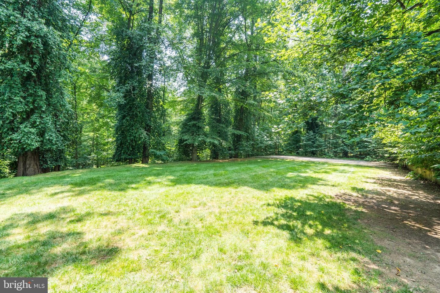 1175 Crest Lane photo 7
