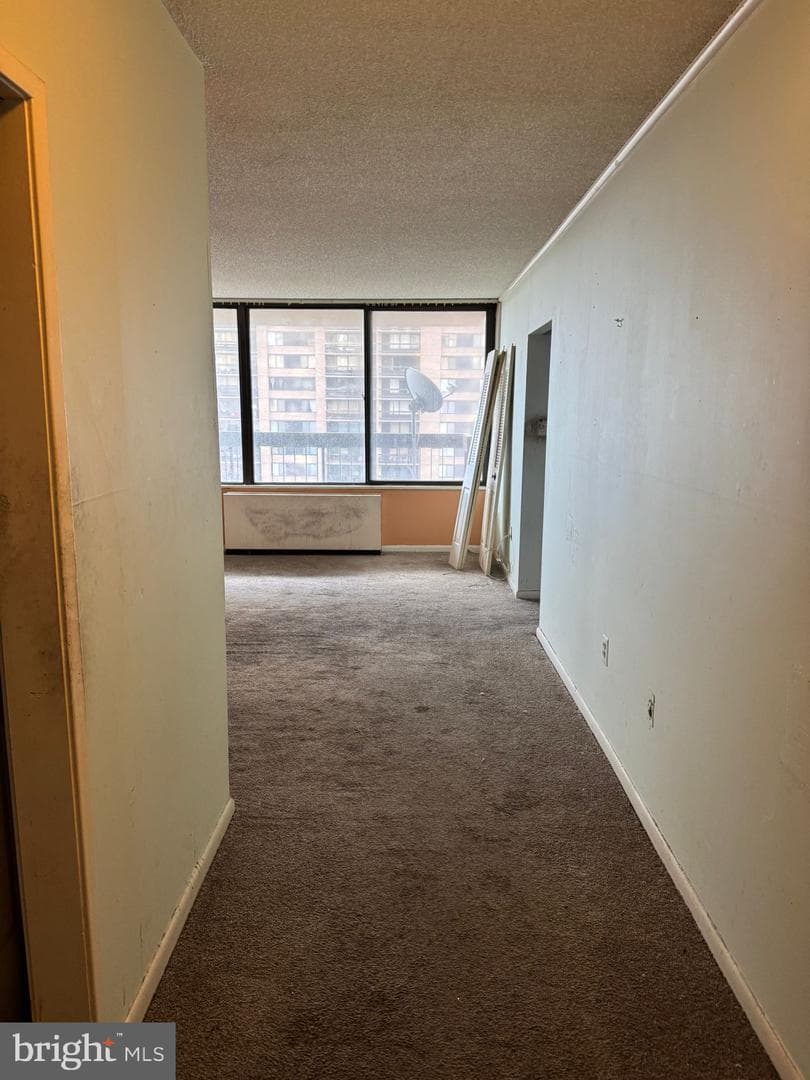 3701 S George Mason Drive #918n photo 6