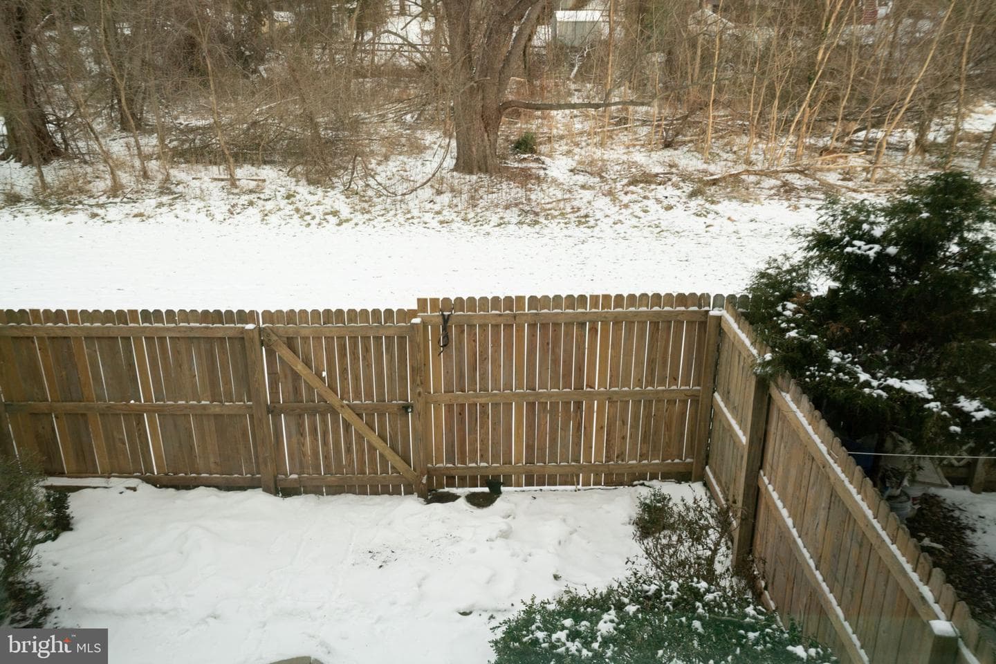1033 Kings Court photo 35