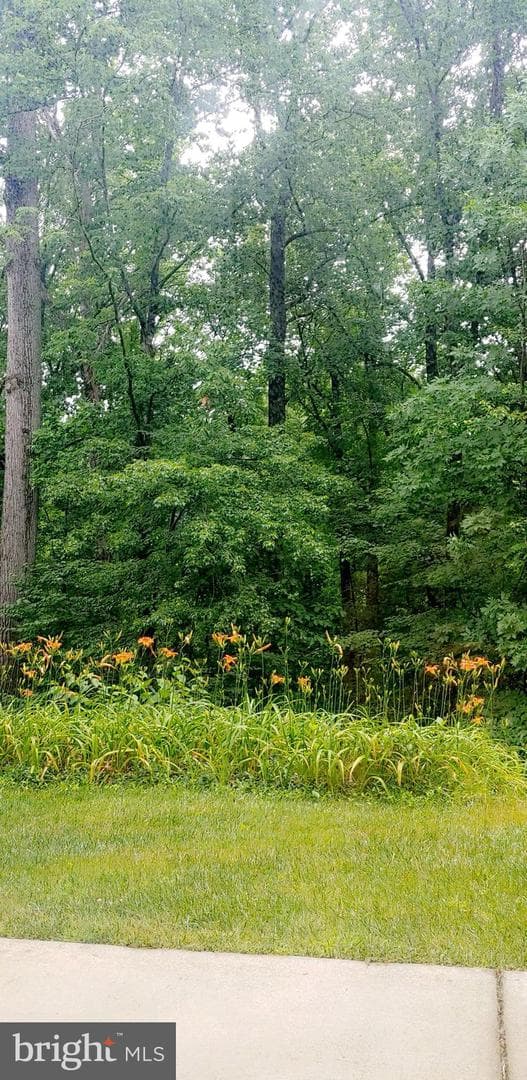 11560 Rolling Green Court #100 photo 38
