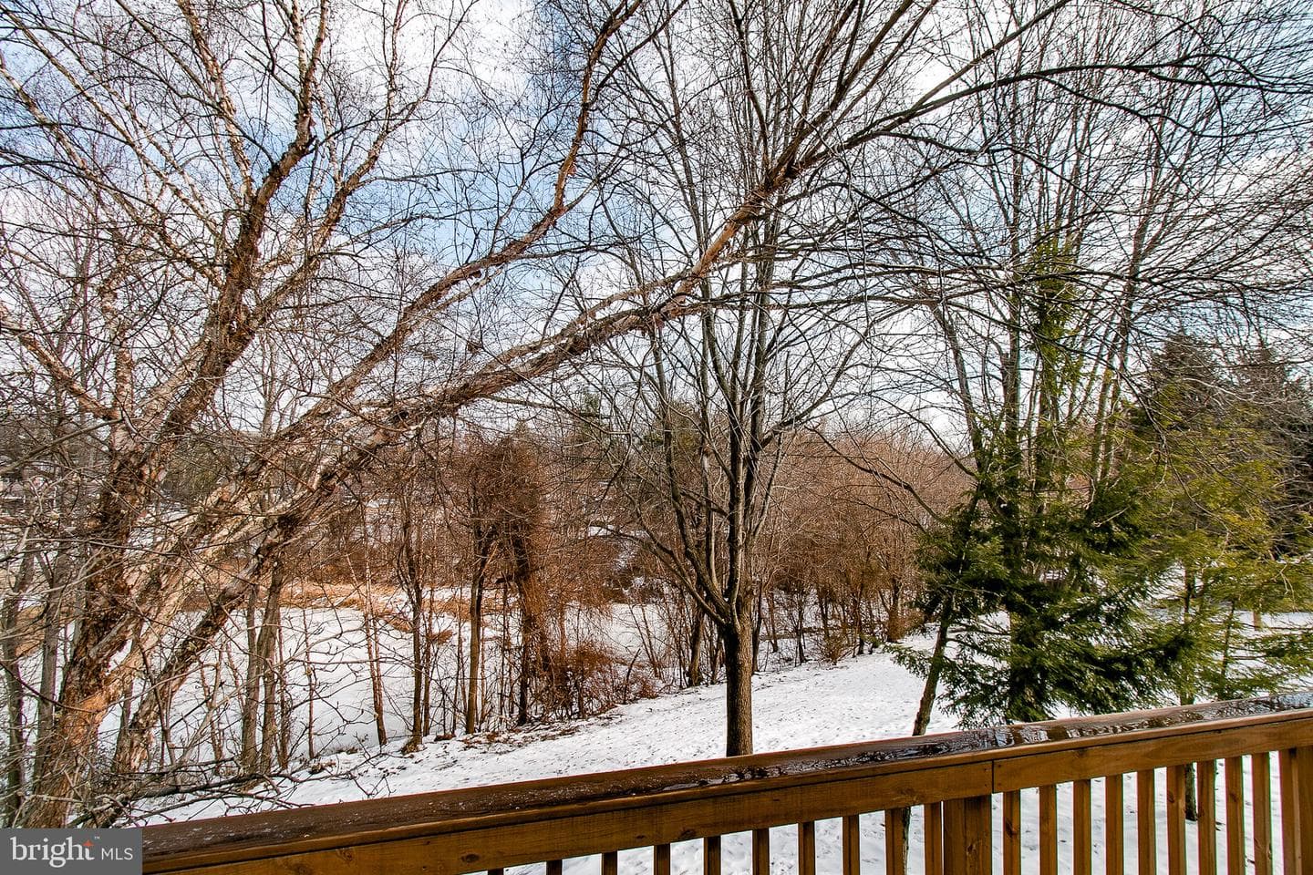 12332 Quiet Hollow Court photo 18