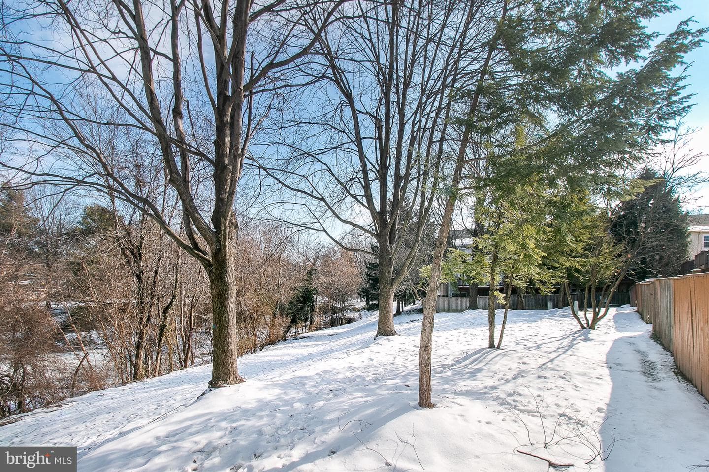 12332 Quiet Hollow Court photo 46