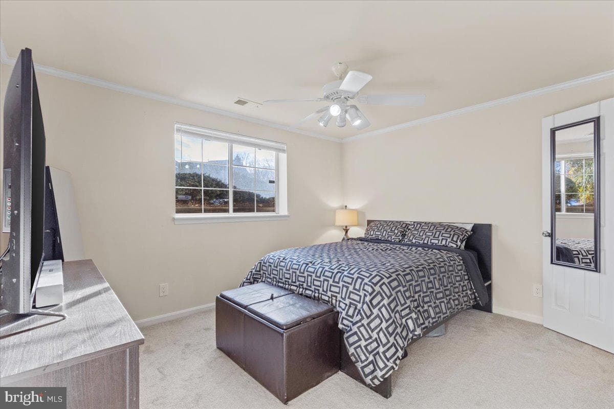 8246 Catbird Circle #101 photo 20