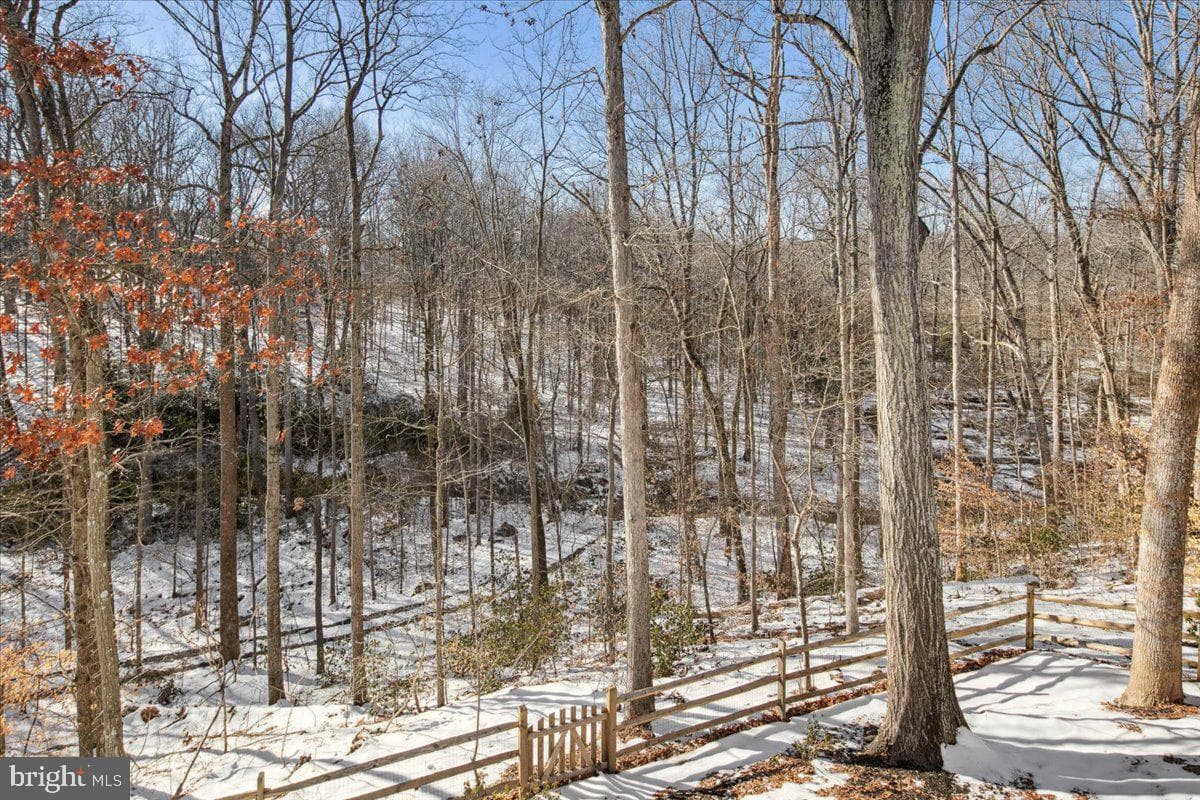 8218 Rushing Creek Drive photo 76