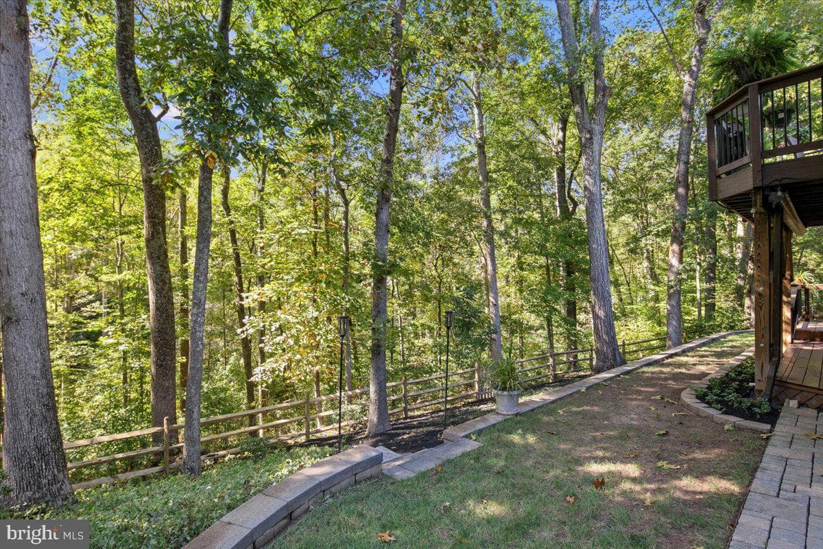 8218 Rushing Creek Drive photo 81