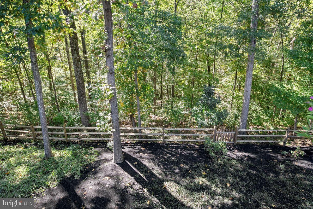 8218 Rushing Creek Drive photo 87