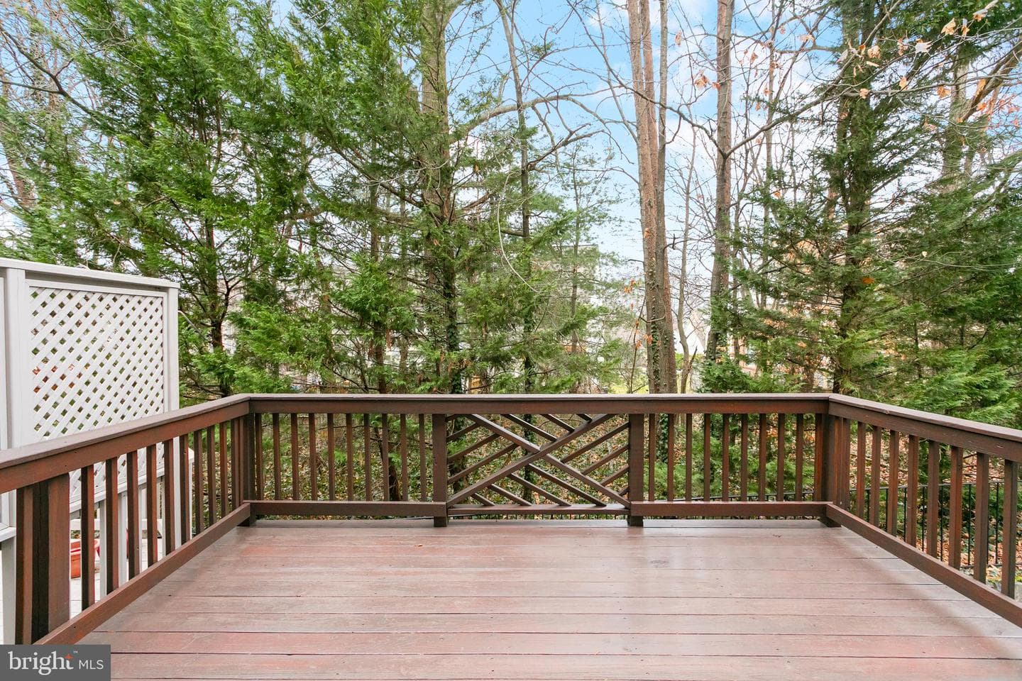 4046 Timber Oak Trail photo 14